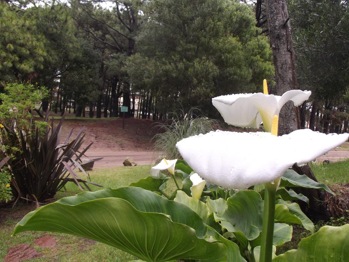 Complejo De Cabanas Pinaforet Villa Pinamar Buitenkant foto